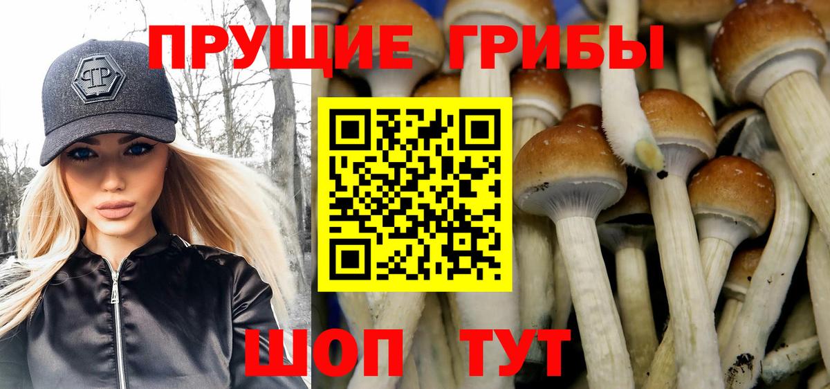 Галлюциногенные грибы ЛСД Славянск-на-Кубани