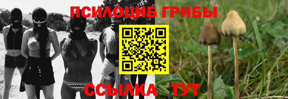Галлюциногенные грибы Psilocybine cubensis  Вход с VPN  где продают наркотики  Славянск-на-Кубани 